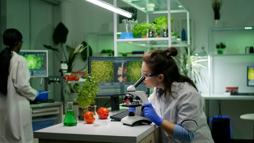 Top 7 Food Safety Solutions for Hospitality and Food Production